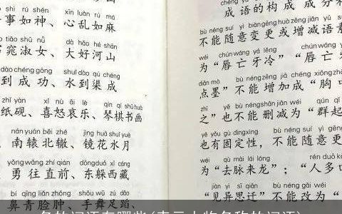 名的词语有哪些(表示人物名称的词语)