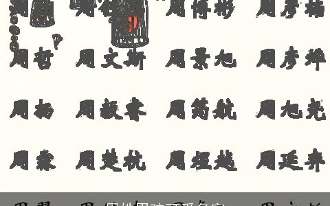 周姓男孩可爱名字