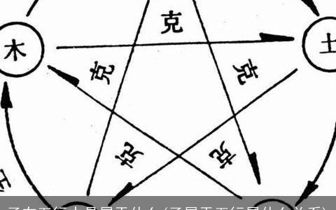 子在五行中是属于什么(子属于五行属什么关系)