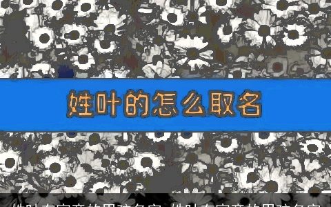 姓叶有寓意的男孩名字_姓叶有寓意的男孩名字