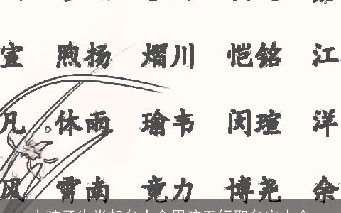 小孩子生肖起名大全男孩五行取名字大全