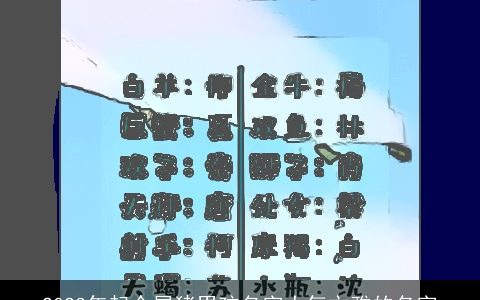 2023年起个属猪男孩名字大气文雅的名字