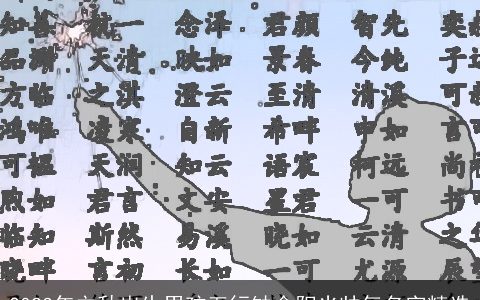 2024年立秋出生男孩五行缺金阳光帅气名字精选