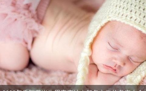 2023年重阳节出生男宝宝缺火起名文雅的名字大全