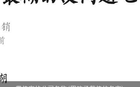 带佳字的公司名称(男孩子戴佳的名字)