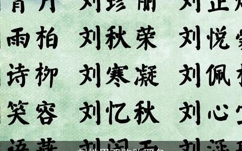 刘姓男双胞胎取名