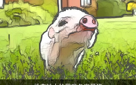 姓李缺水的男孩名字属猪