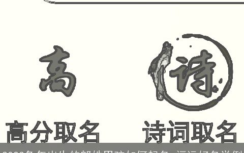 2024兔年出生的郎姓男孩如何起名 福运好名举例