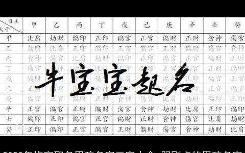 2023年梅字取名男孩名字三字大全 阳刚点的男孩名字