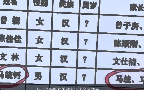 1200个好听的男孩名字大全分数高 好听稀少的 好听好听稀少的男孩名字