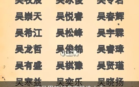 姓吴男孩好名字精选大全