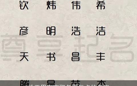 姓王男宝宝取名霸气点的名字