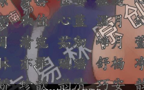 2024年贺姓女孩取名