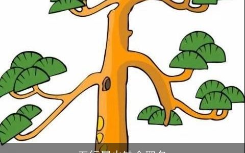 五行属火缺金取名