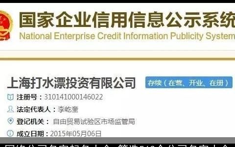 网络公司名字起名大全_筛选563个公司名字大全