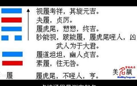 卢梓涵周易测字起名