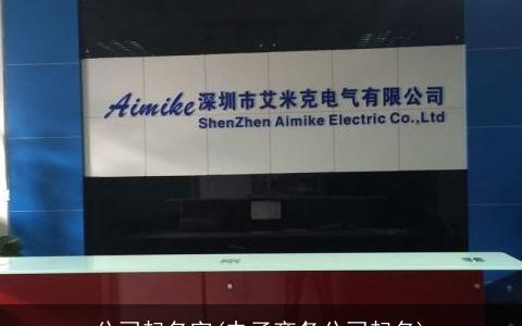 公司起名字(电子商务公司起名)