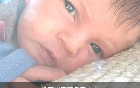 姓范男宝宝名字大全