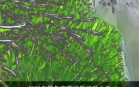 2023年属兔宝宝洋气可爱小名