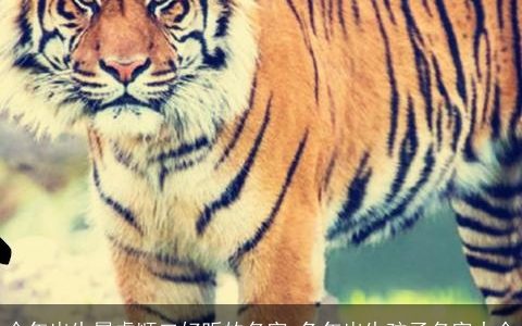 今年出生属虎顺口好听的名字 兔年出生孩子名字大全