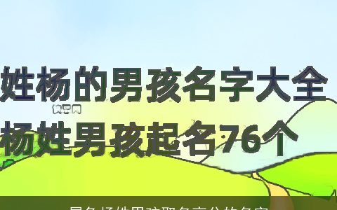 属兔杨姓男孩取名高分的名字