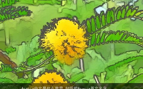 Acacia中文是什么意思 好听的Acacia英文名字_英文名字大全 2023漂亮好听的英文英文名字大全最新