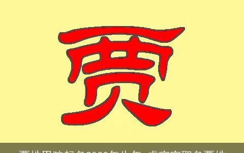 贾姓男孩起名2023年牛年 虎宝宝取名贾姓