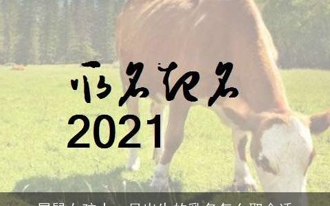 属鼠女孩十一月出生的乳名怎么取合适