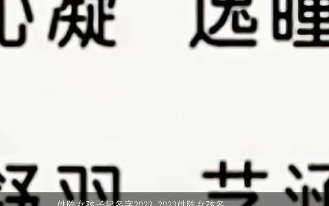姓陈女孩子起名字2023 2023姓陈女孩名字大全优雅大气 优雅大气的陈姓女孩名字大全推荐