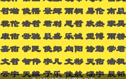 秦姓独特新颖的男孩名字