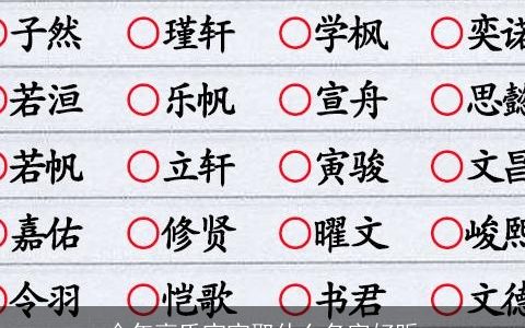 今年高氏宝宝取什么名字好听