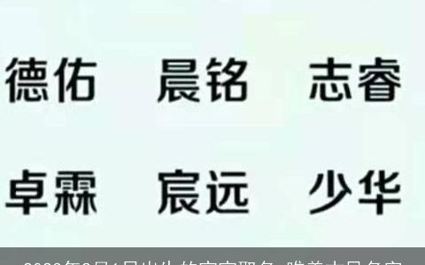2023年2月1日出生的宝宝取名 唯美古风名字