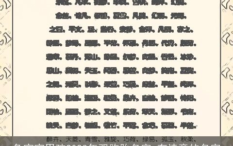 兔宝宝男孩2023年双胞胎名字 有诗意的名字