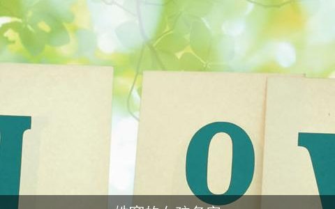 姓窦的女孩名字