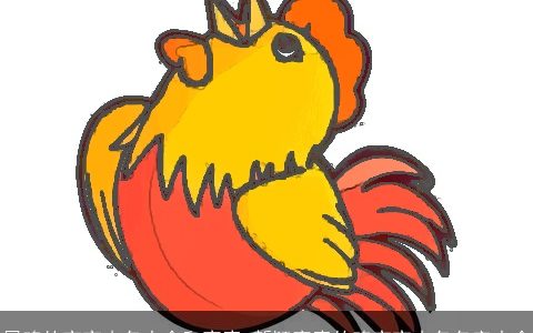 属鸡的宝宝小名大全和寓意 新颖寓意的鸡宝宝小名名字大全