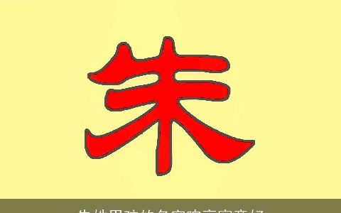 朱姓男孩的名字响亮寓意好