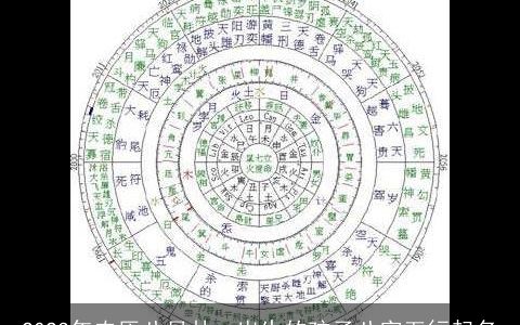 2023年农历八月廿一出生的孩子八字五行起名