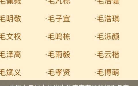 农历十三日中午出生的宝宝有哪些好听名字