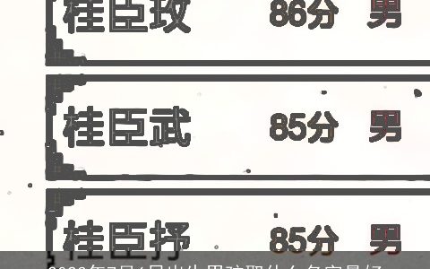 2024年7月6日出生男孩取什么名字最好