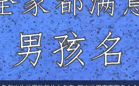 龙年出生的男孩起什么名字 阳光的男宝宝取名大全