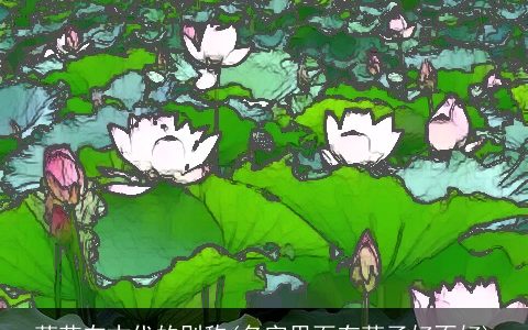 莲花在古代的别称(名字里面有莲子好不好)