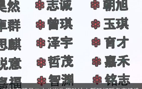 2023年腊月二十八出生男孩缺土新颖好听名字精选