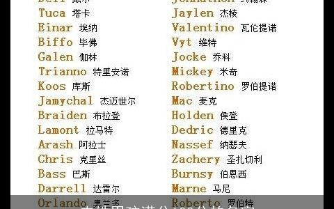 农姓男孩满分100分的名字