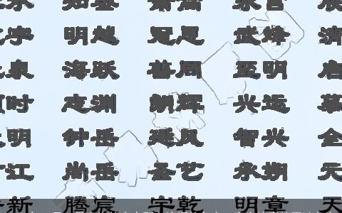 2023年12月22日出生的宝宝取自诗词的名字  富有诗意的男孩名字