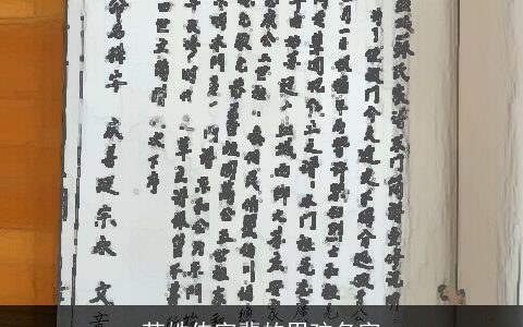 苏姓传字辈的男孩名字