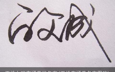 王姓女孩有涵养的名字(王姓有涵养名字男孩)