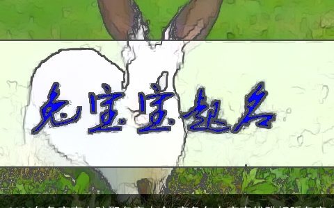 2023年兔宝宝女孩取名字大全 寅兔年女宝宝优雅好听名字