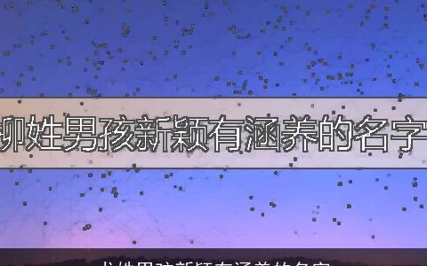 尤姓男孩新颖有涵养的名字