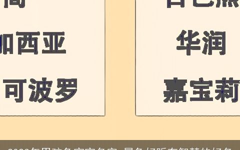 2024年男孩龙宝宝名字 属龙好听有智慧的好名