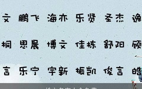 姓文名字大全免费